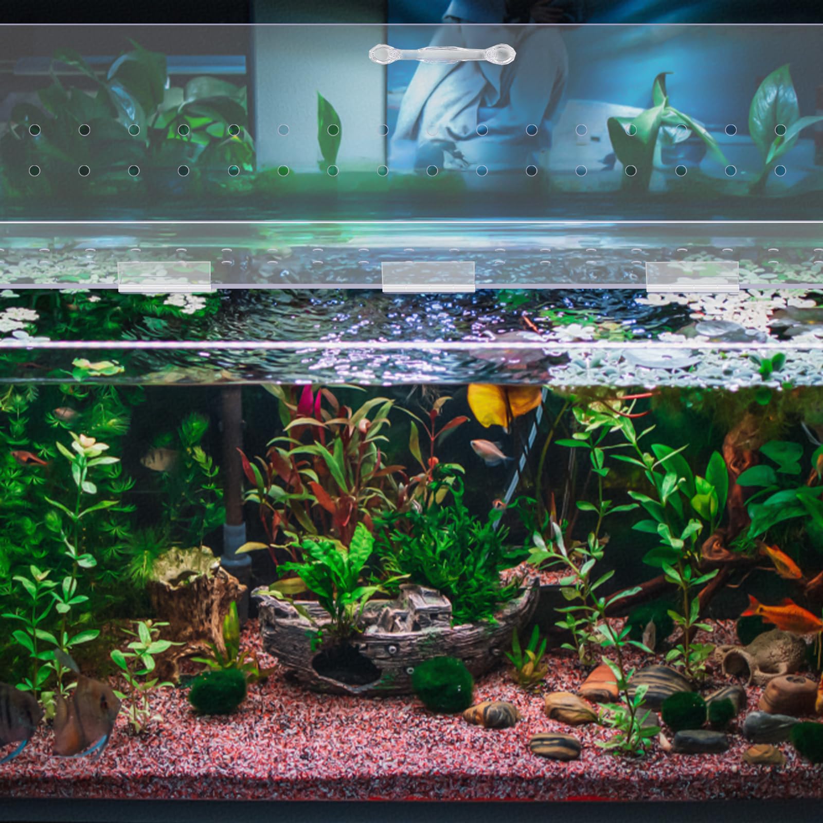 Capot Sieral améliore l’esthétique de l’aquarium grâce à sa transparence.