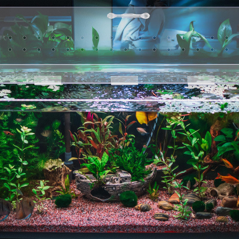 Capot Sieral améliore l’esthétique de l’aquarium grâce à sa transparence.
