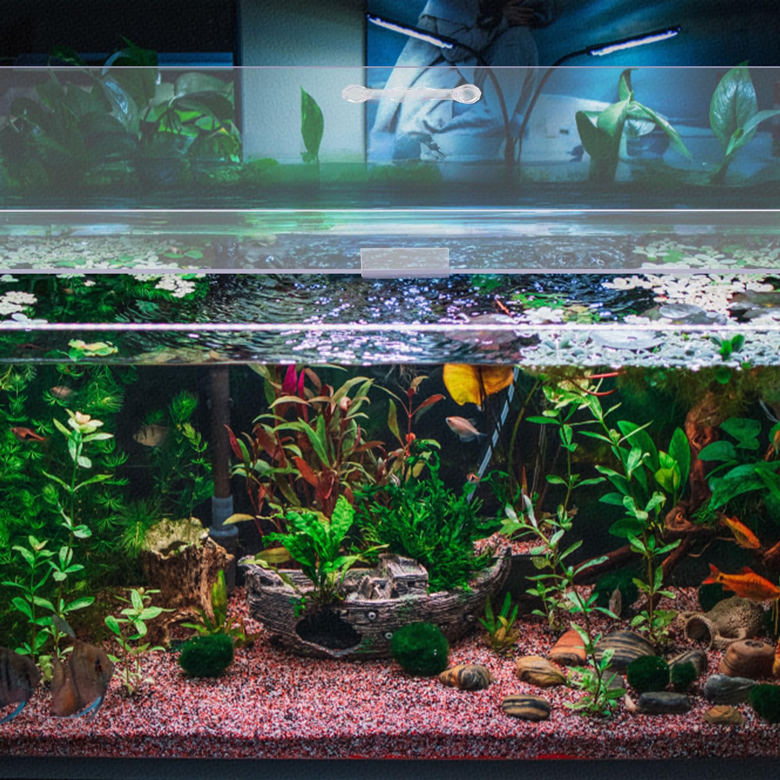 Sieral couvercle adapté pour aquariums 10-20 gal sans entretoise.