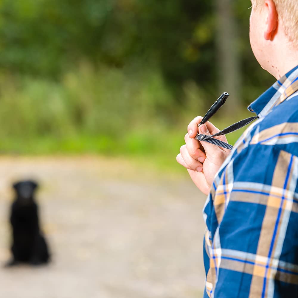 Sifflet-chien porté au collier, pratique en déplacement.