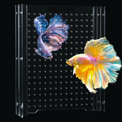 Diviseur d'aquarium 5 galons SIKGFPN ajustable, séparation nette.