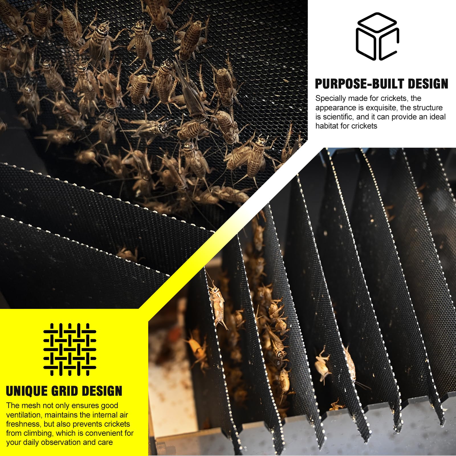 SIKGFPN Reptile Cricket Keeper – habitat transparent pour surveiller l’activité