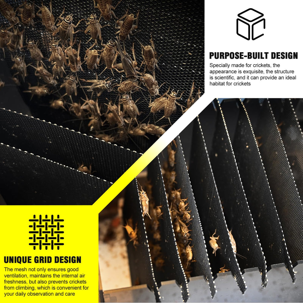 SIKGFPN Reptile Cricket Keeper – habitat transparent pour surveiller l’activité