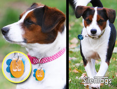 SilenTags badge-coeur silencieux sur collier, pratique et discret.