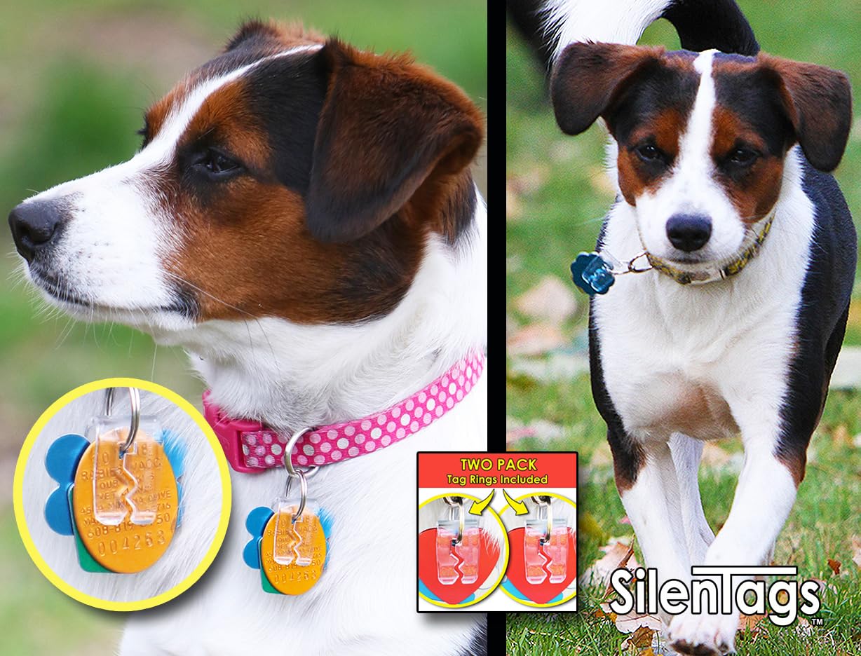 SilenTags clip transparent pour étiquette animale, fixation rapide et fiable