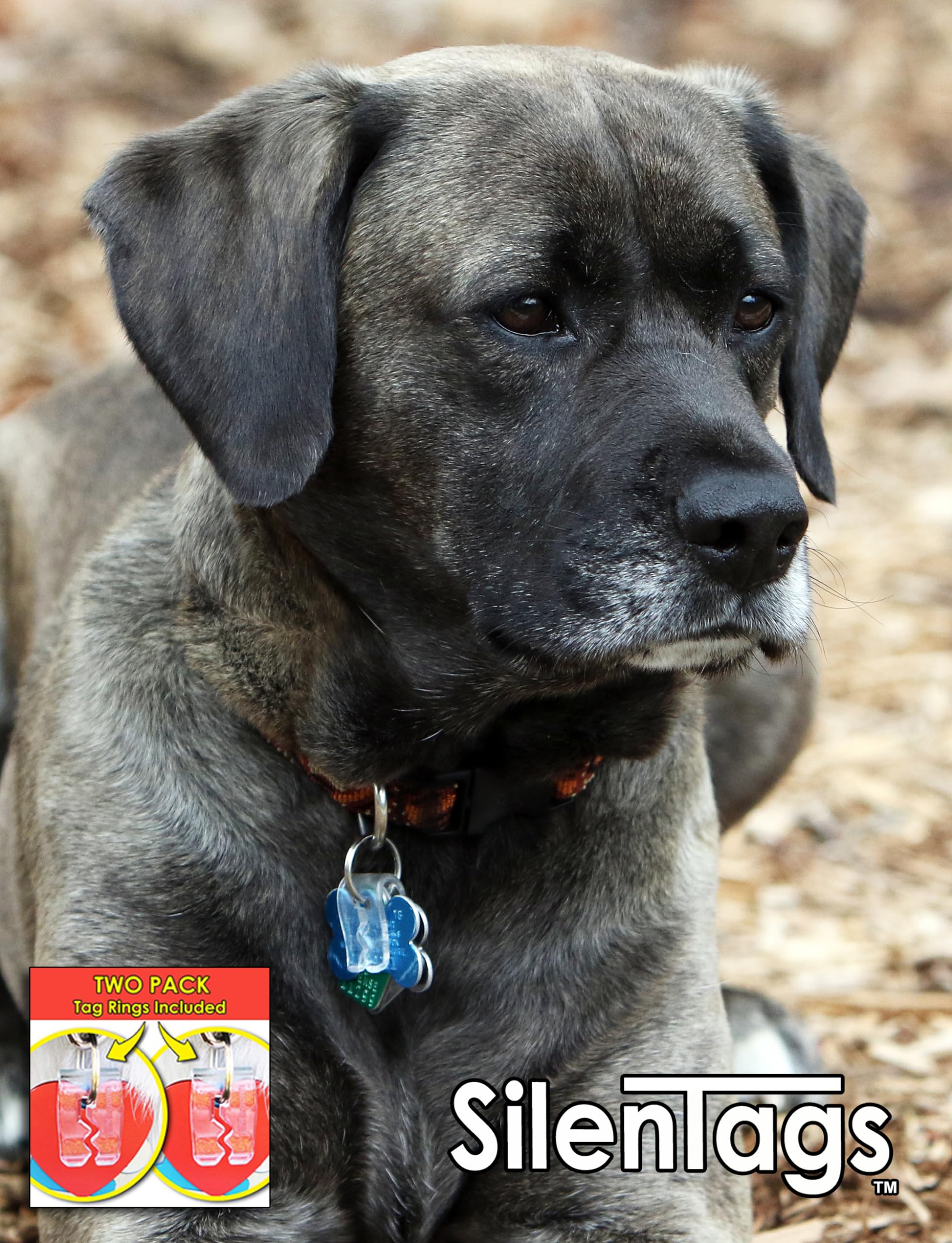 SilenTags plastique composite durable pour étiquettes animales, protection fiable