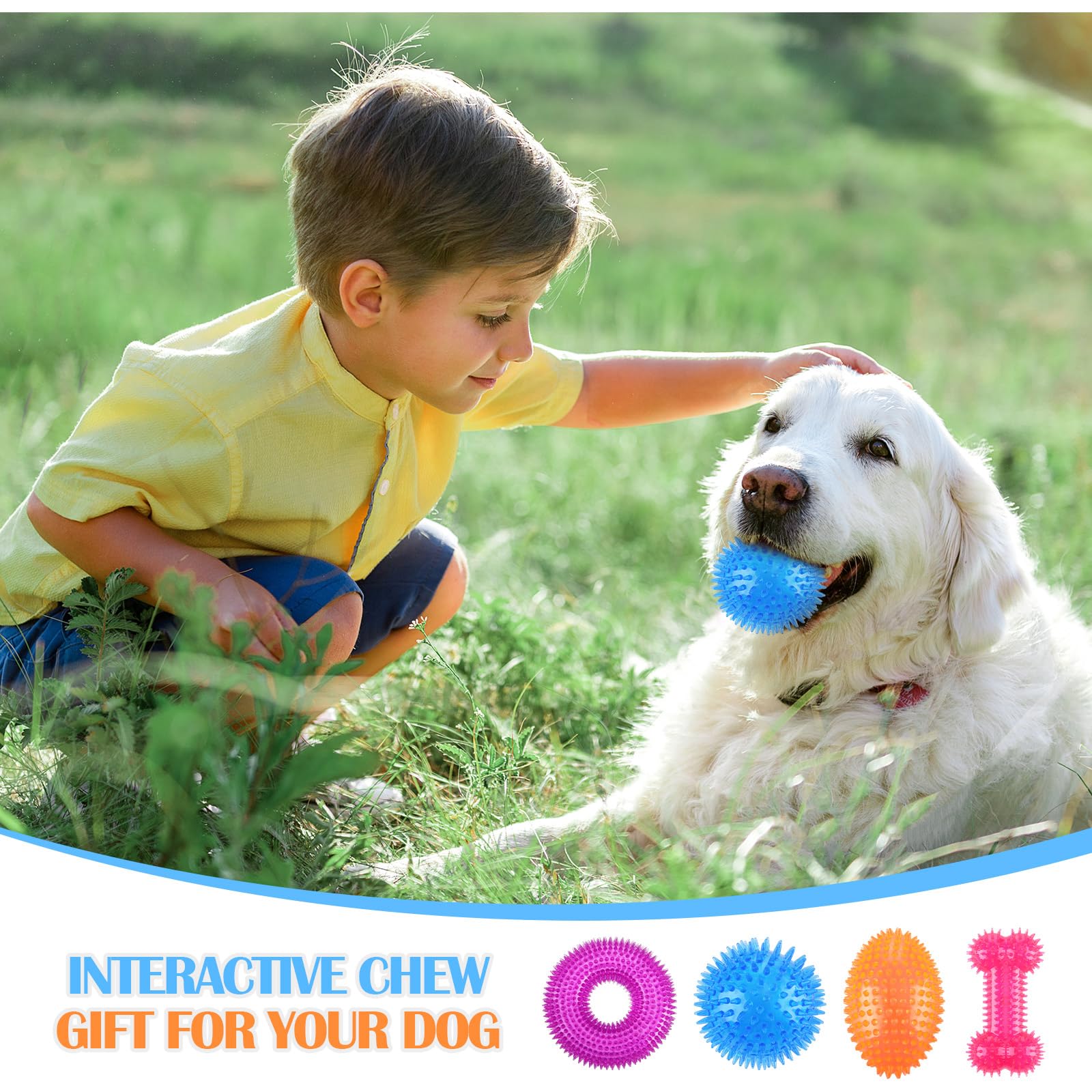 Silipull jouet chien épineux, idéal pour lancer et rattraper.