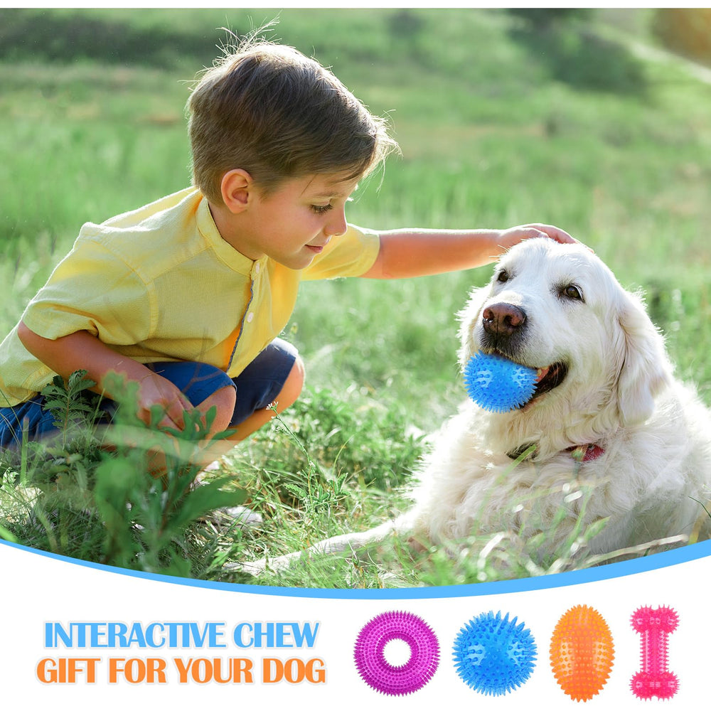 Silipull jouet chien épineux, idéal pour lancer et rattraper.
