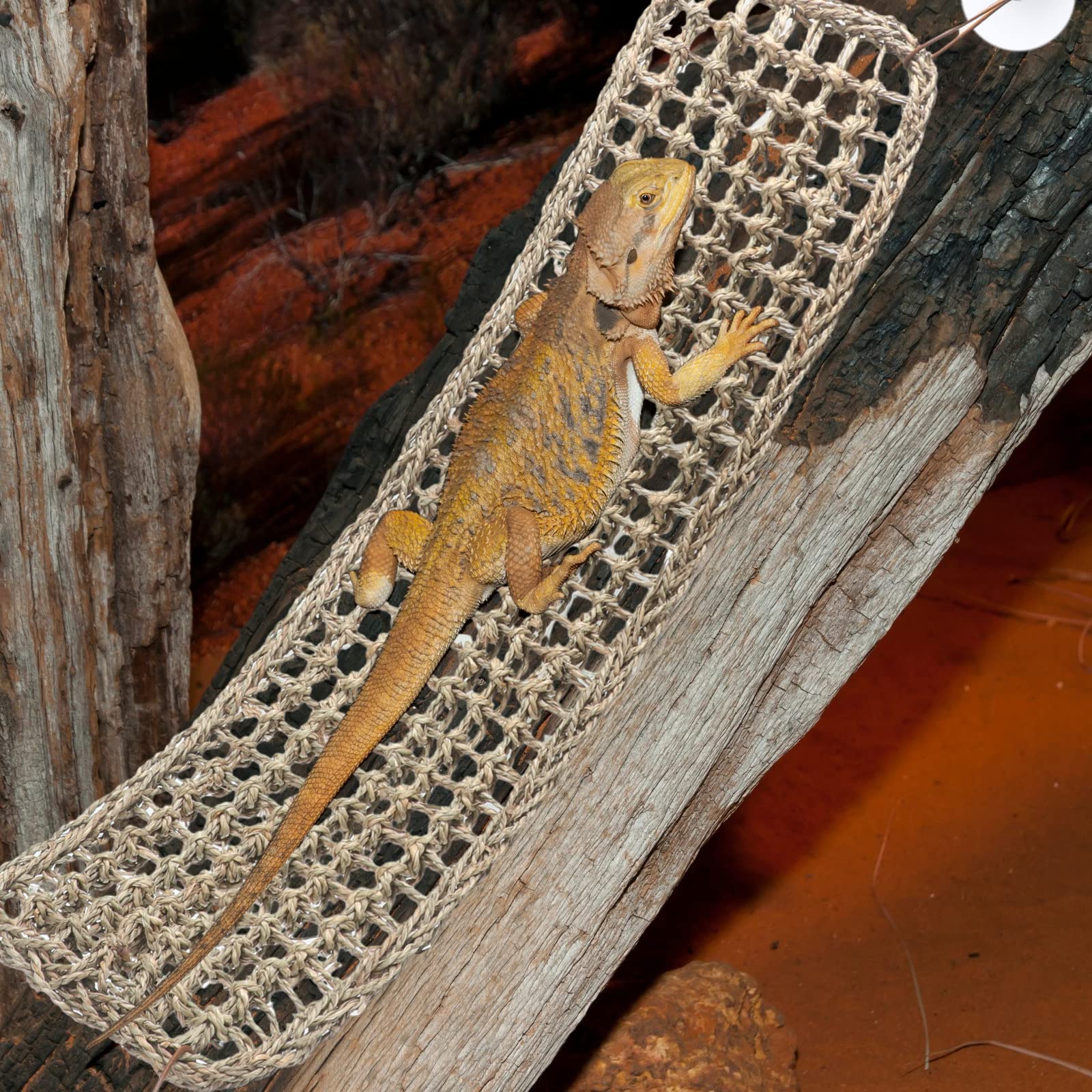 Silkfly hamac dragon-barbu-installation-simple avec ventouses et instructions claires.