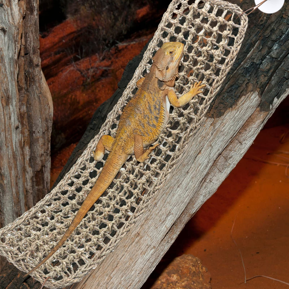 Silkfly hamac dragon-barbu-installation-simple avec ventouses et instructions claires.