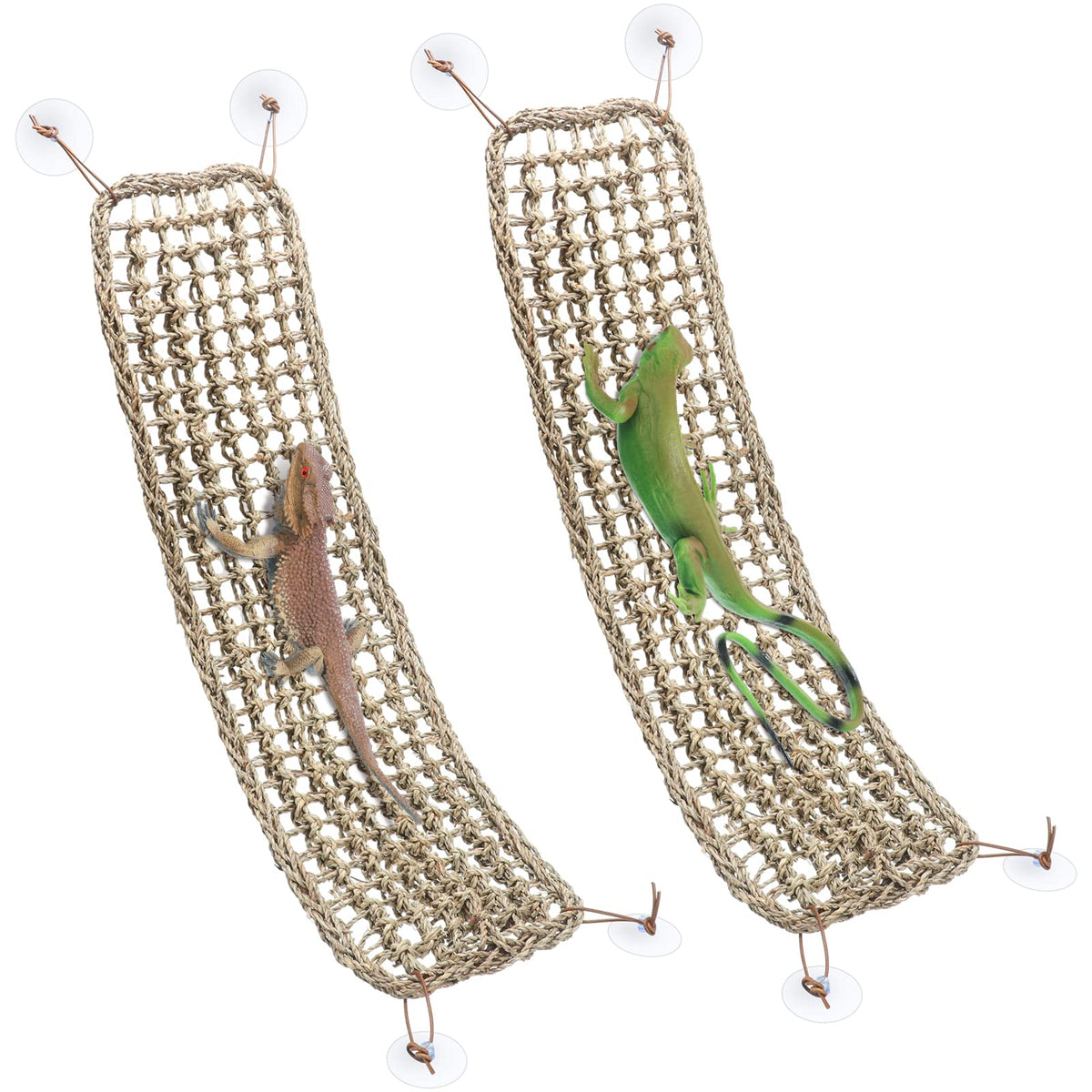 Silkfly hamac dragon-barbu-terrarium ensemble pour le repos et l'escalade.