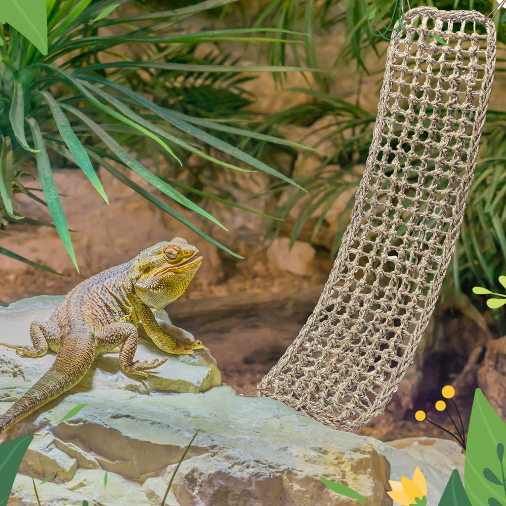 Silkfly hamac dragon-barbu-usage-divers parfait pour terrariums variés.