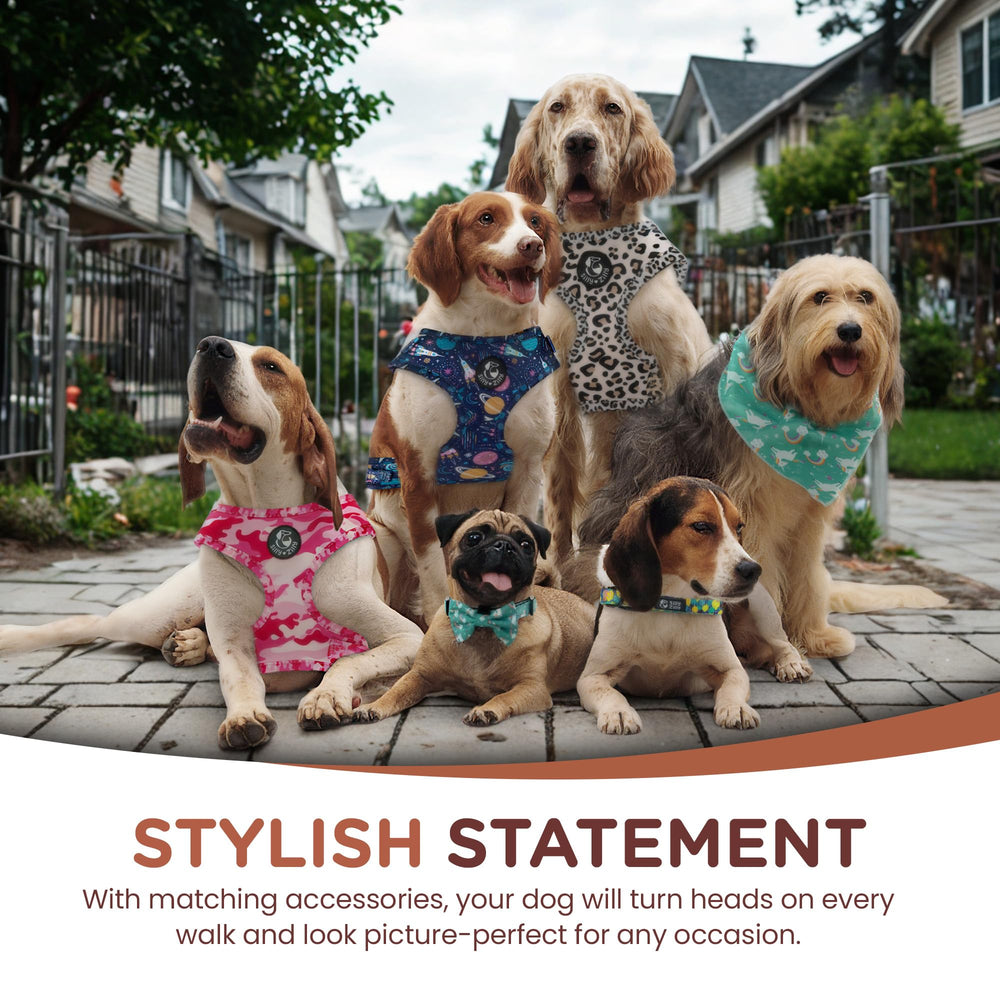 Distributeur de sacs Silly Zilly pour chien grand motif léopard.