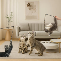 SilqueSense balles crinkle, sons et textures qui captivent l attention des chats.