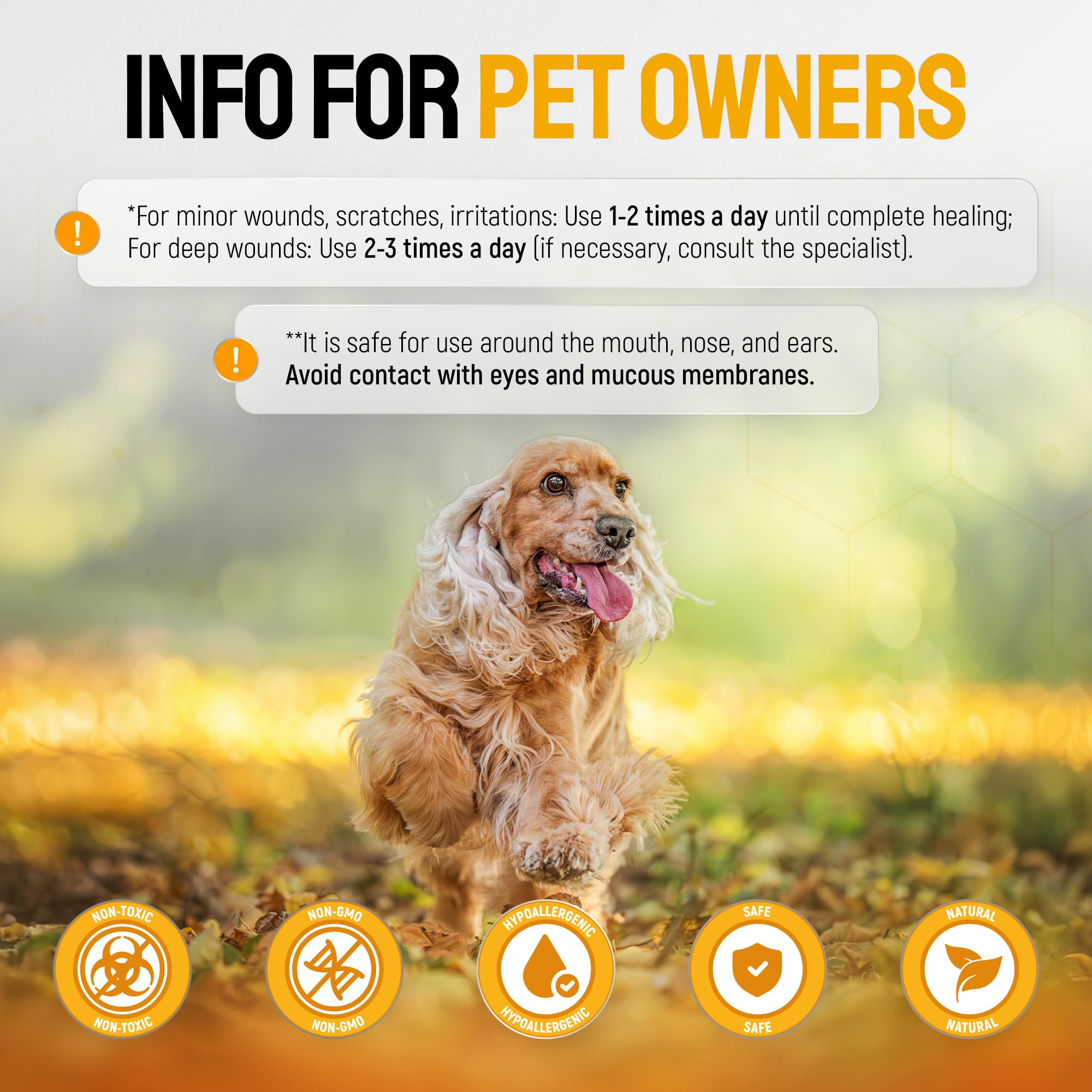 Cône pour chien pour limiter le léchage lors du soin.