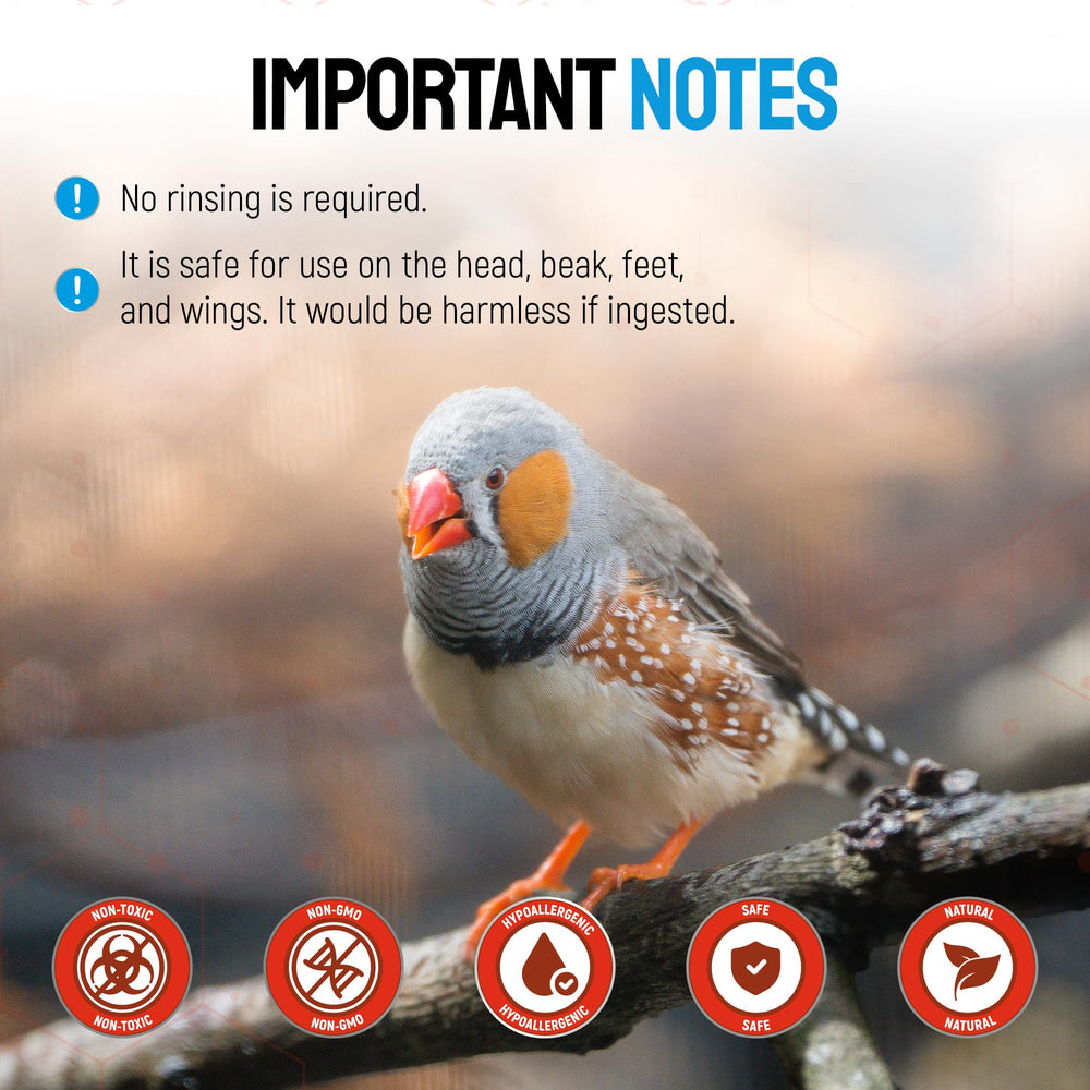 SILVER GRADE plaie-pieds-poulet : protection des pattes et irritations.