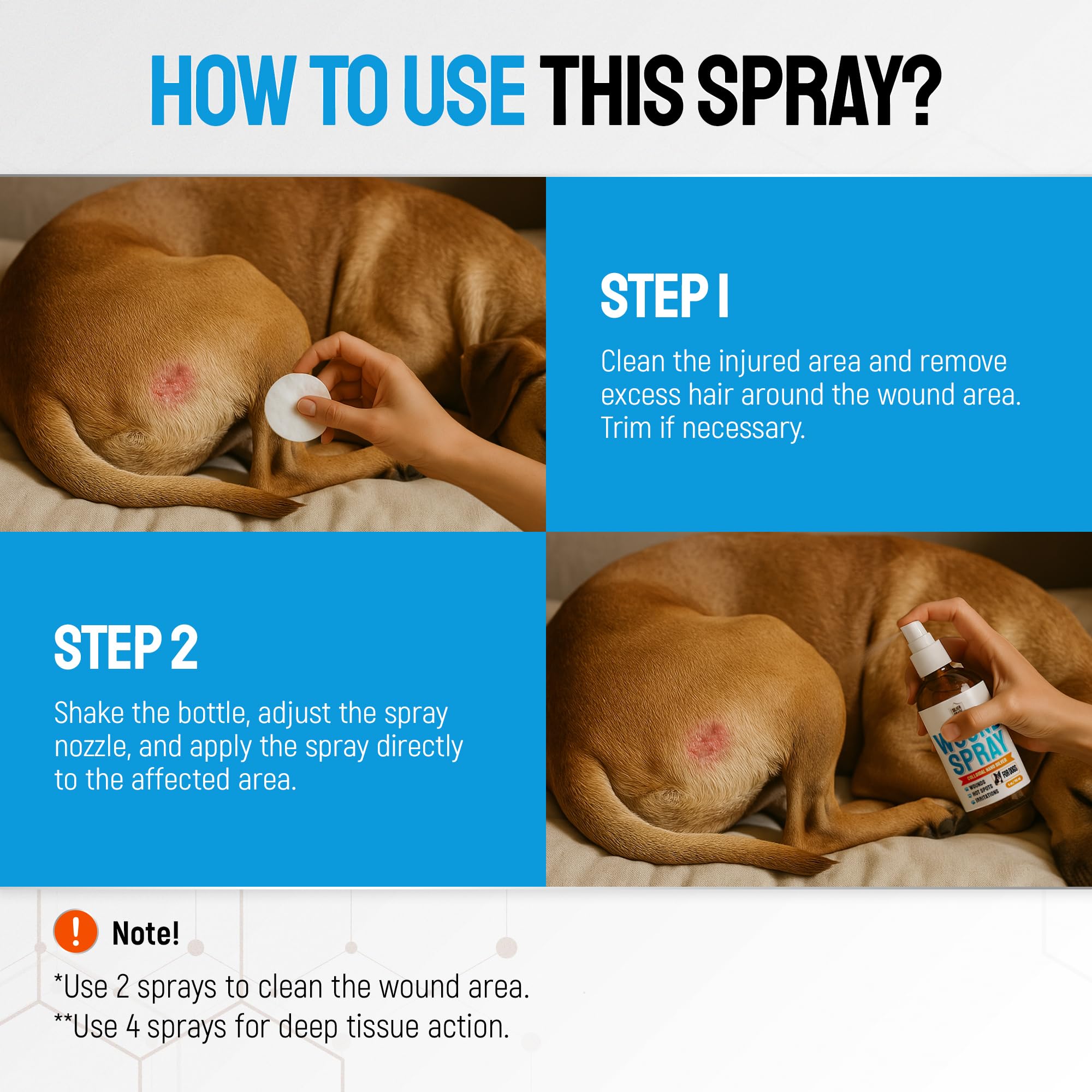 SILVER GRADE – Cône pour chien, aide à freiner le léchage après application.