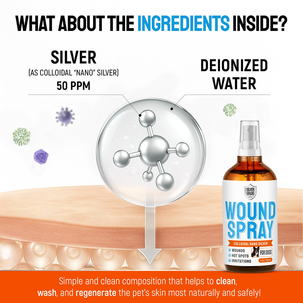 SILVER GRADE – Morsures et irritations chez le chien, solution pratique pour nettoyer et soutenir la peau.