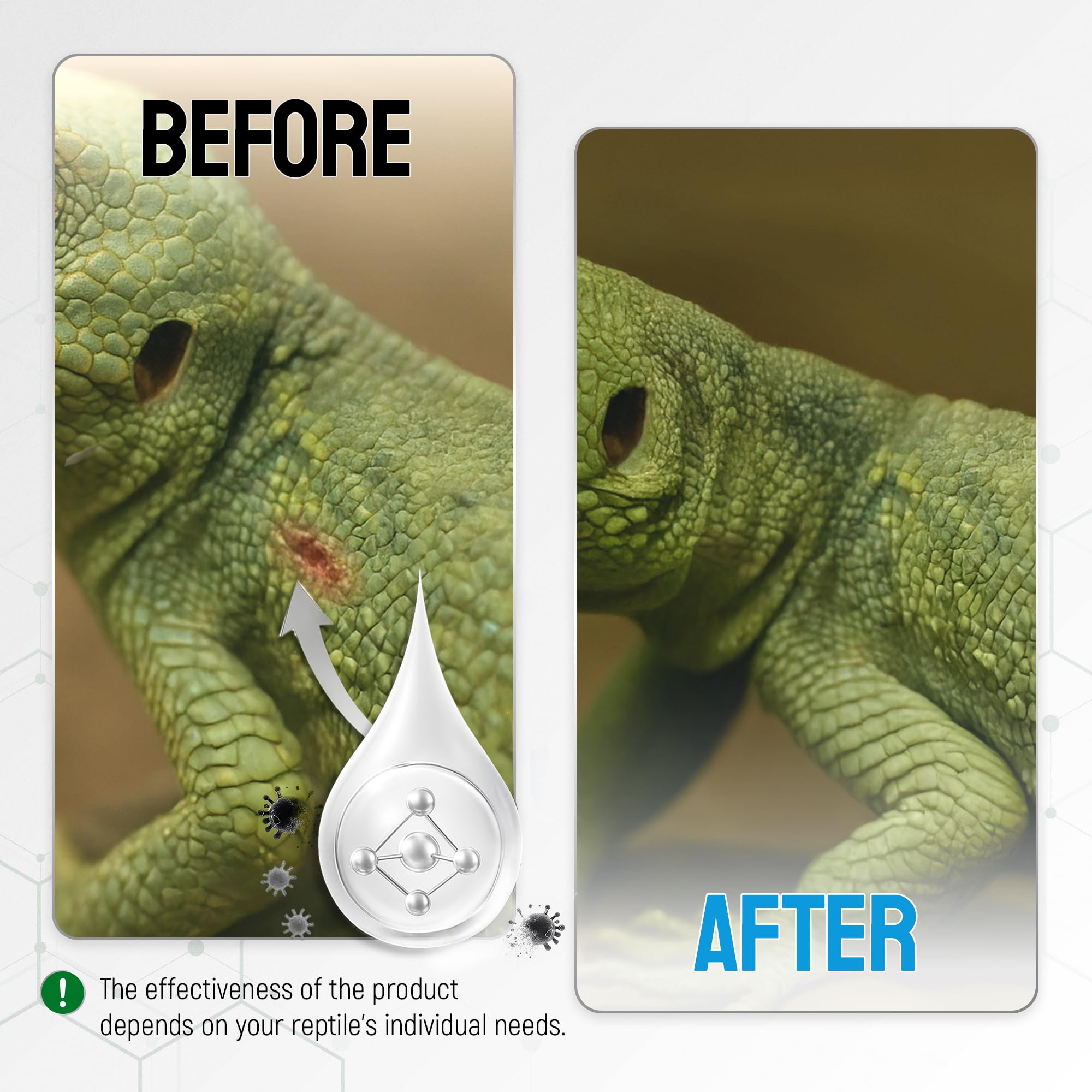 Spray pratique à domicile et en voyage pour reptiles, SILVER GRADE.
