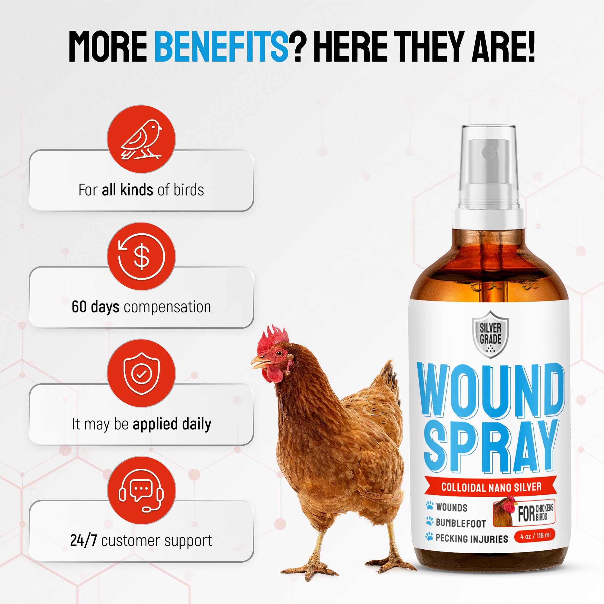 SILVER GRADE usage-quotidien-poulets : routine de soins rapide.