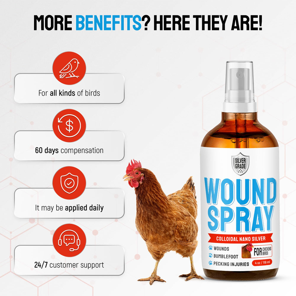 SILVER GRADE usage-quotidien-poulets : routine de soins rapide.