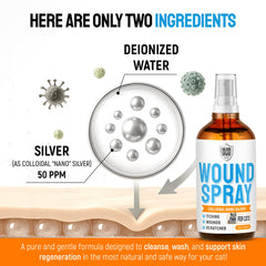SILVER GRADE Spray: zone irritée du chat traitée en douceur.