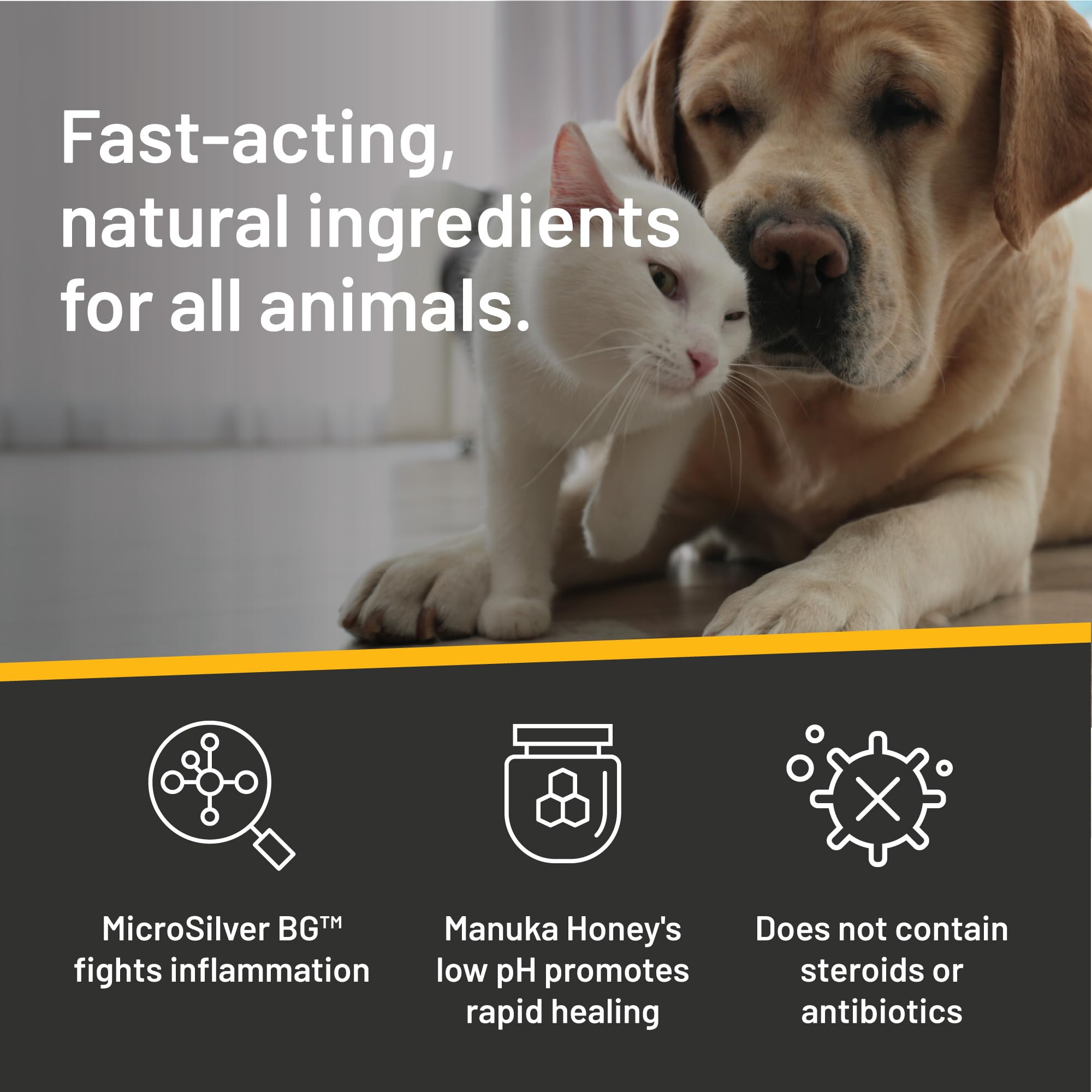 Silver Honey sans parfum, adaptés pour animaux sensibles.