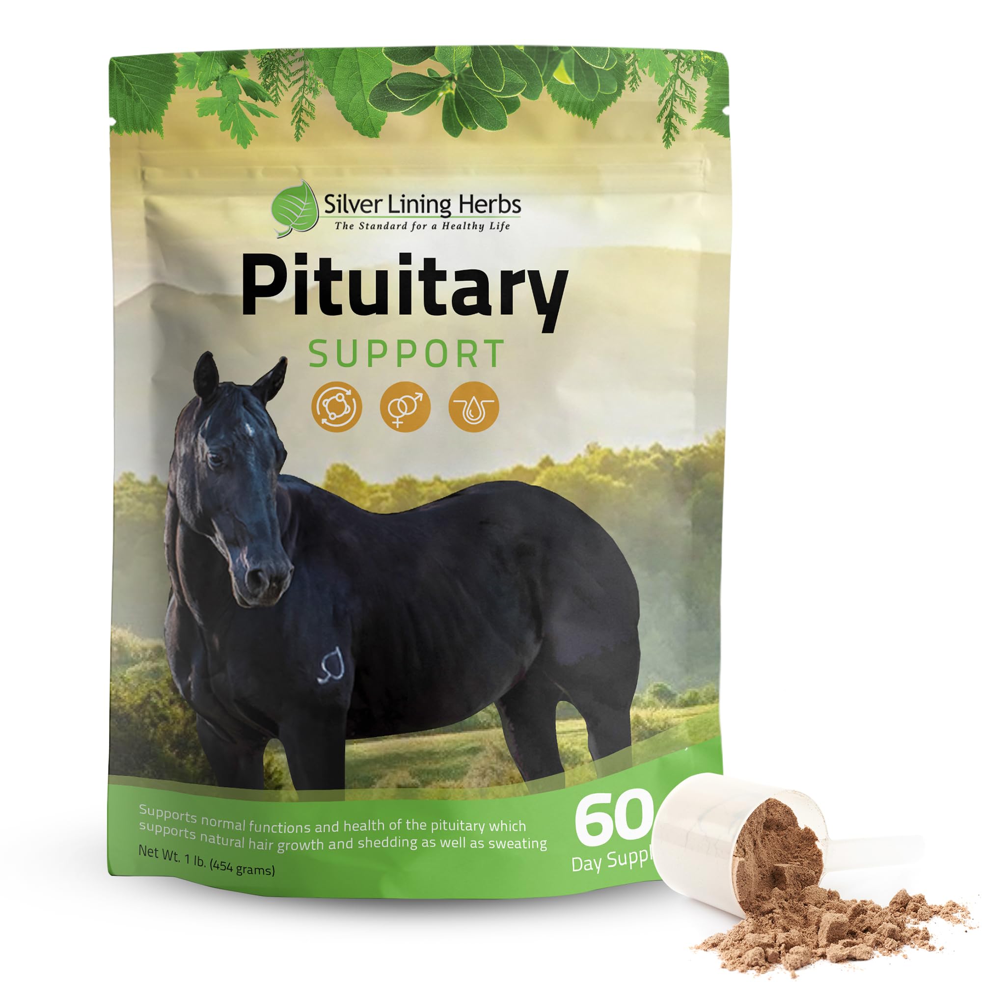Bouteille Silver Lining Herbs prête pour une routine d'équilibre hormonal du cheval
