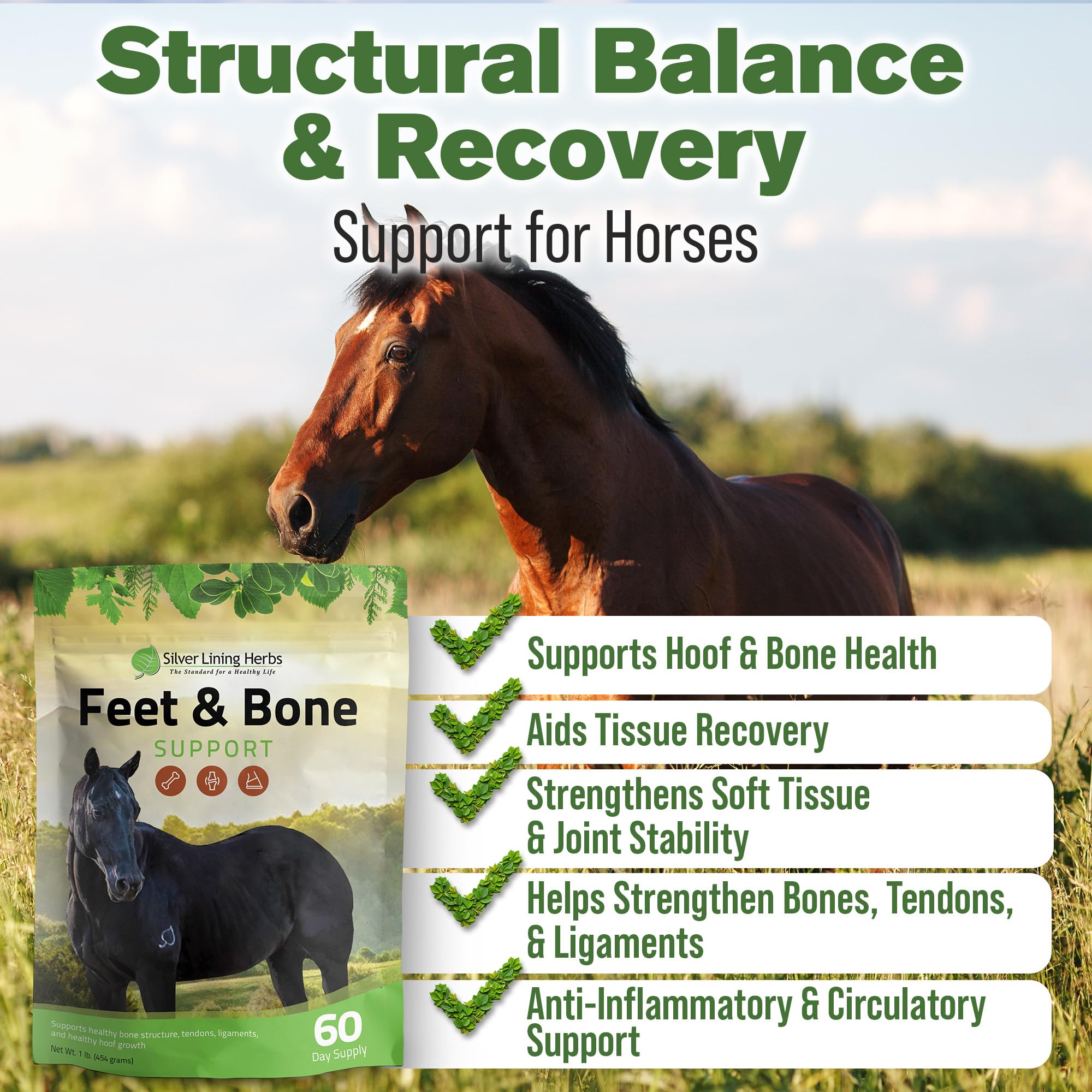 Silver Lining Herbs cheval en prairie en mouvement, soutien des articulations.