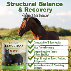 Silver Lining Herbs cheval en prairie en mouvement, soutien des articulations.