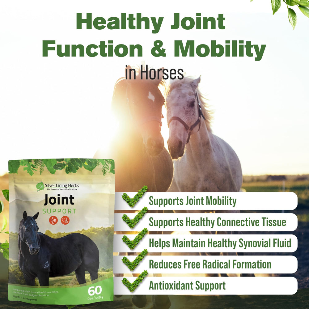 Silver Lining Herbs mobilité-flacon: favorise une foulée plus fluide pour les chevaux actifs.