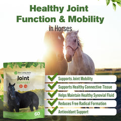 Silver Lining Herbs mobilité-flacon: favorise une foulée plus fluide pour les chevaux actifs.