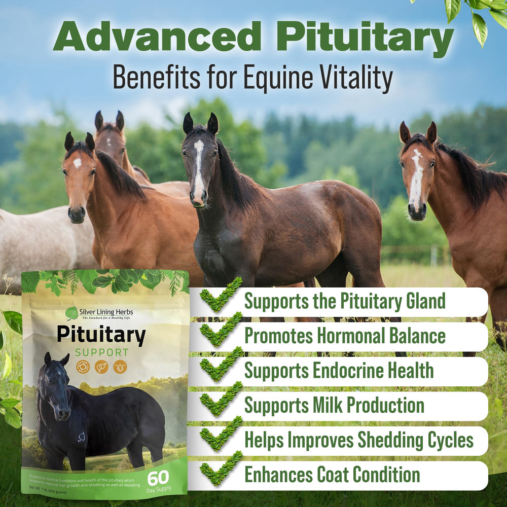 Cuillère-dose Silver Lining Herbs montrant la dose quotidienne pour le cheval