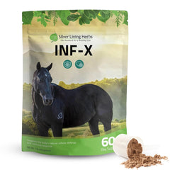 Flacon INF-X de Silver Lining Herbs, soutien potentiel des défenses immunitaires du cheval.