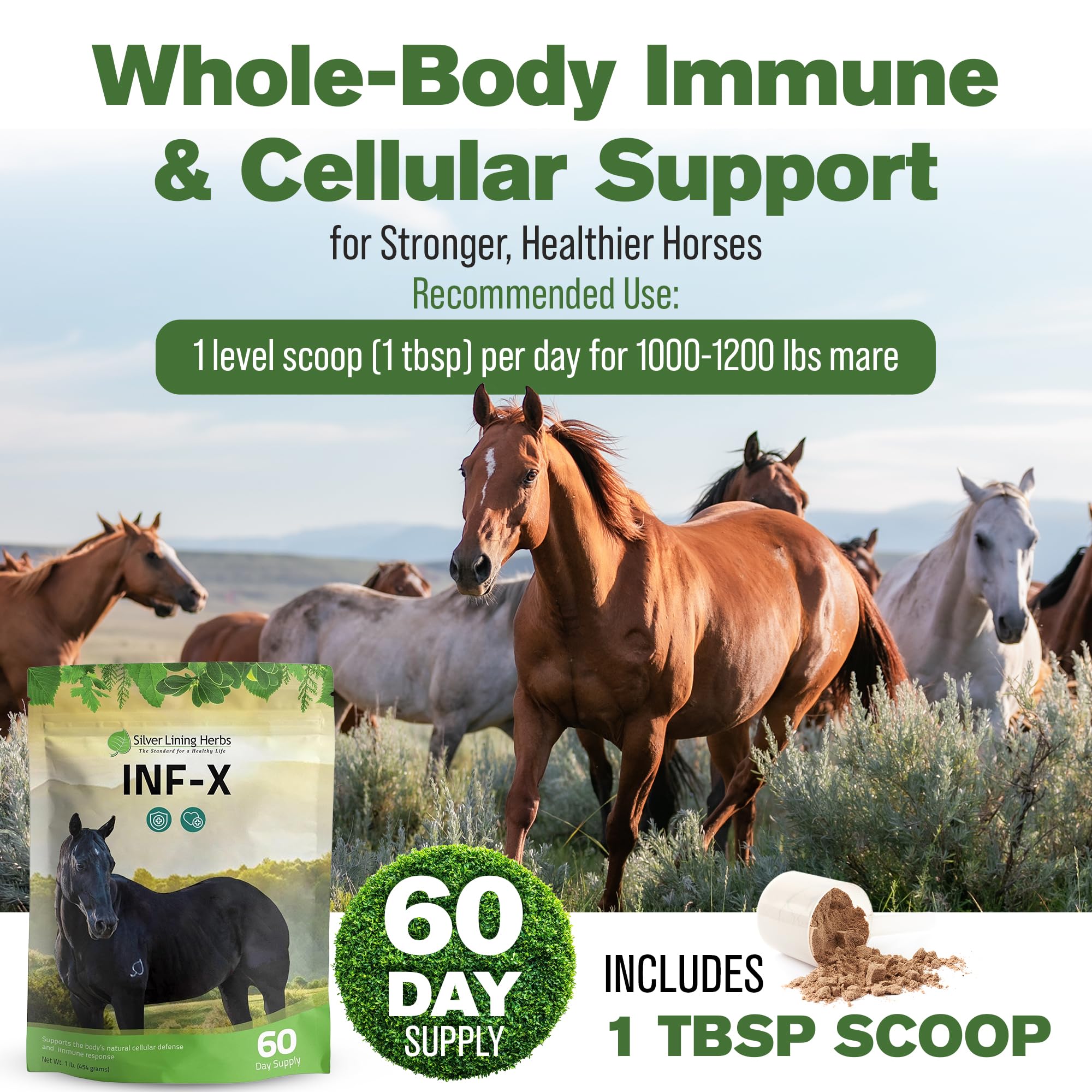 Soutien potentiel des tissus et détoxication naturelle du cheval avec INF-X.