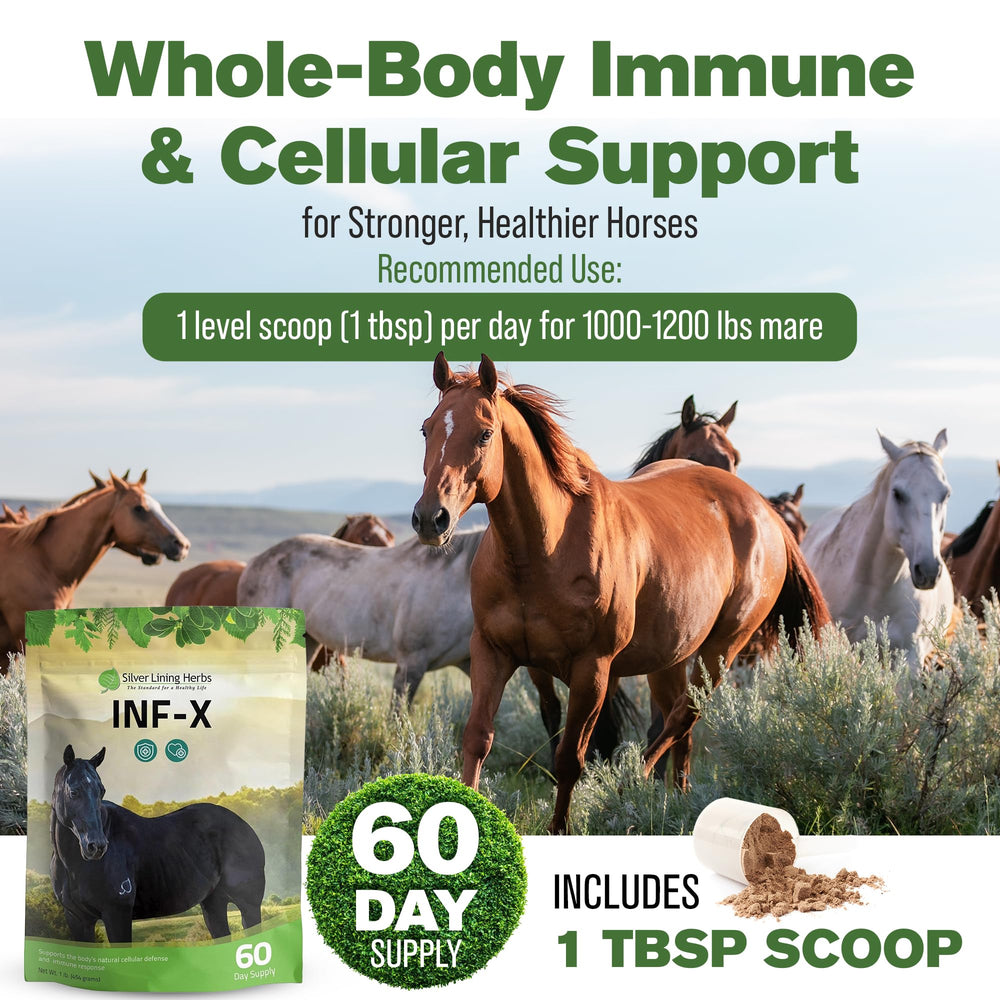 Soutien potentiel des tissus et détoxication naturelle du cheval avec INF-X.