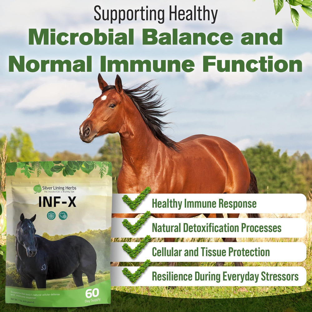 Mélange facile dans l’alimentation du cheval grâce à INF-X.