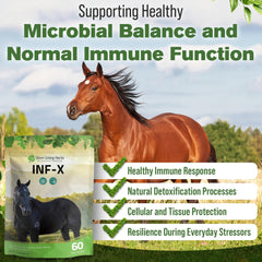 Mélange facile dans l’alimentation du cheval grâce à INF-X.