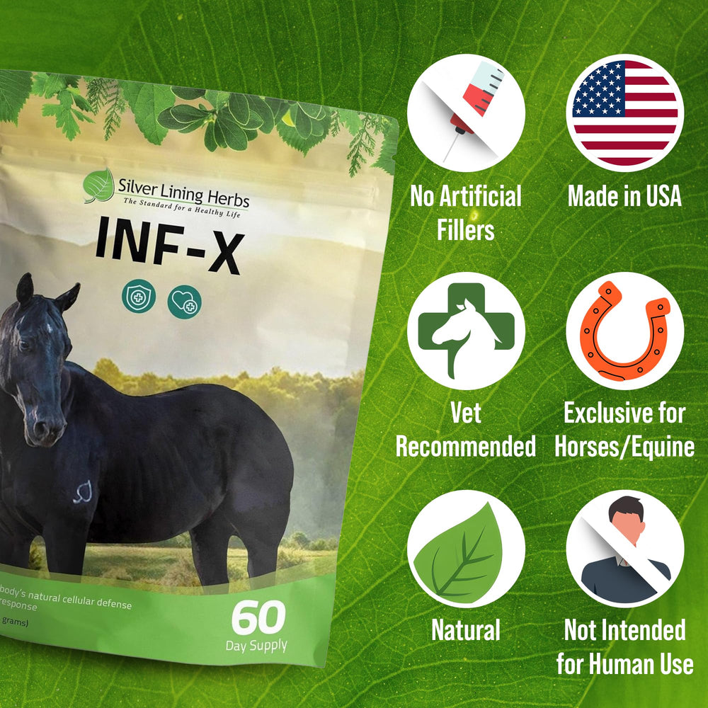 Formule botanique premium INF-X avec ail et feuilles d’olivier.
