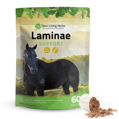 Silver Lining Herbs Laminae Support – bouteille, soutien des sabots et mobilité.