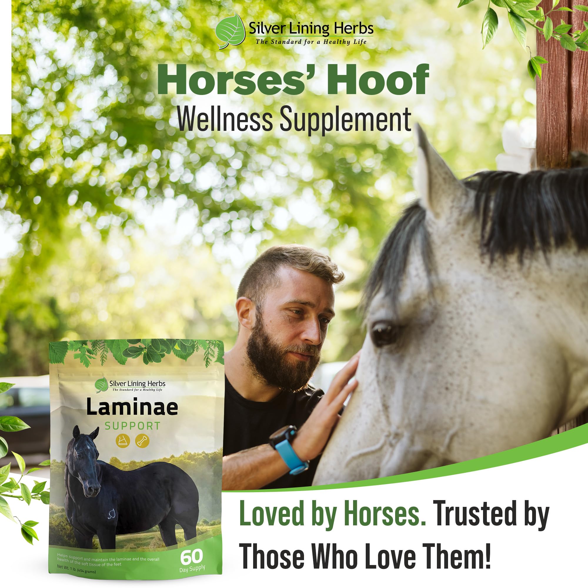 Silver Lining Herbs Laminae Support – griffe du diable et ail comme exemples.