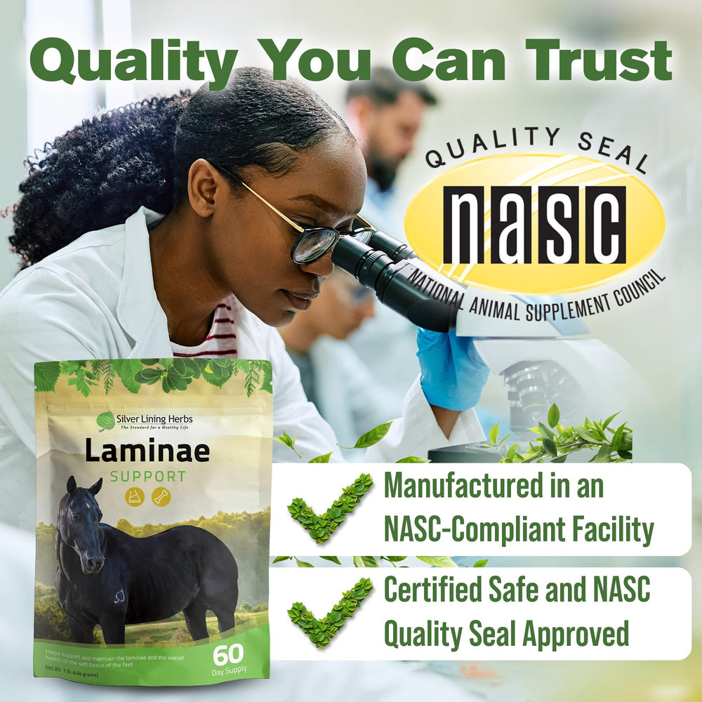 Silver Lining Herbs Laminae Support – conditionnement NASC et traçabilité.