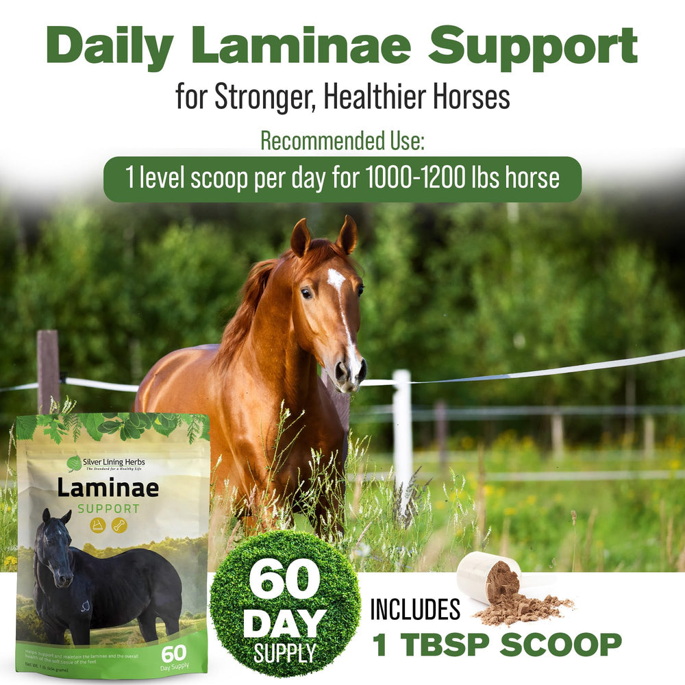 Silver Lining Herbs Laminae Support – sabots en vedette lors des soins.