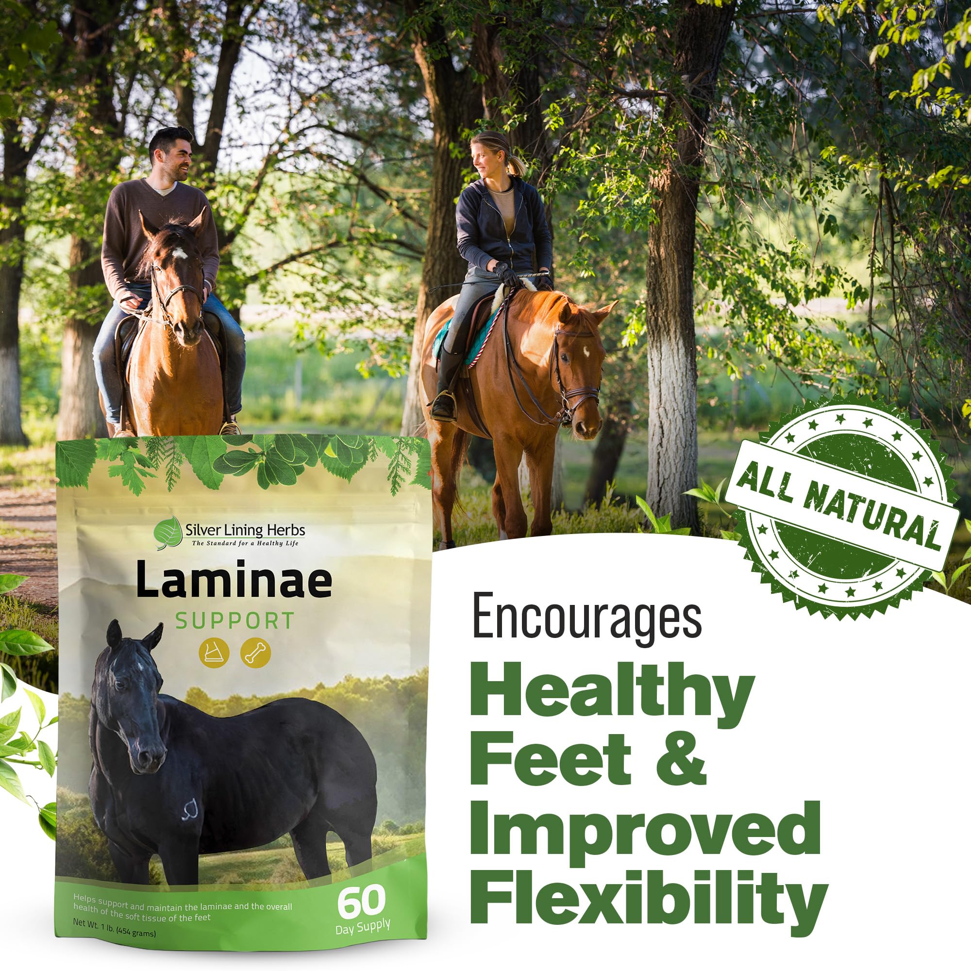 Silver Lining Herbs Laminae Support – utilisation et portions en 60 dosages.
