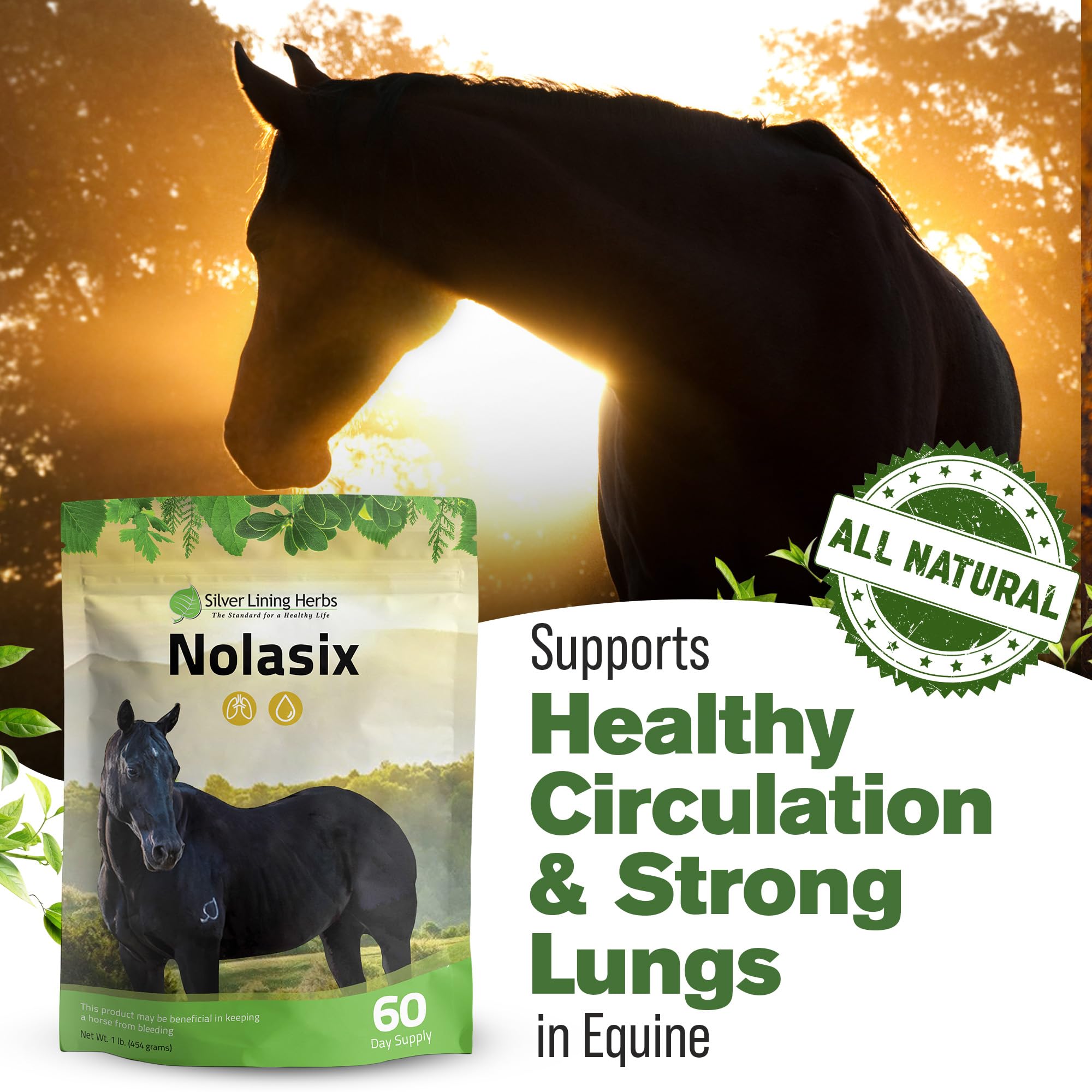 Fabriqué aux États‑Unis: Nolasix, norme de qualité et traçabilité.