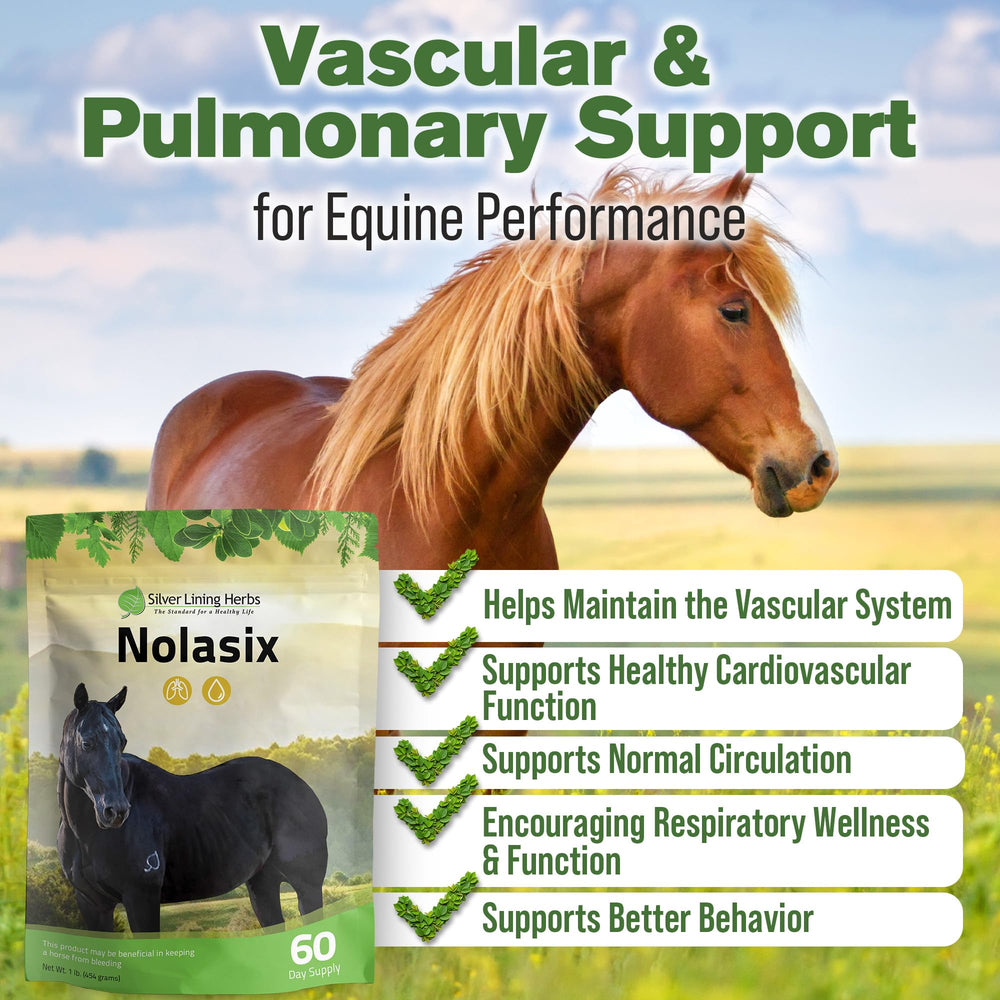 Poudre Nolasix 1 livre prête à être ajoutée à la ration du cheval.