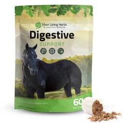 Silver Lining Herbs Poudre Digestive pour chevaux dans un bocal soutien douceur digestive