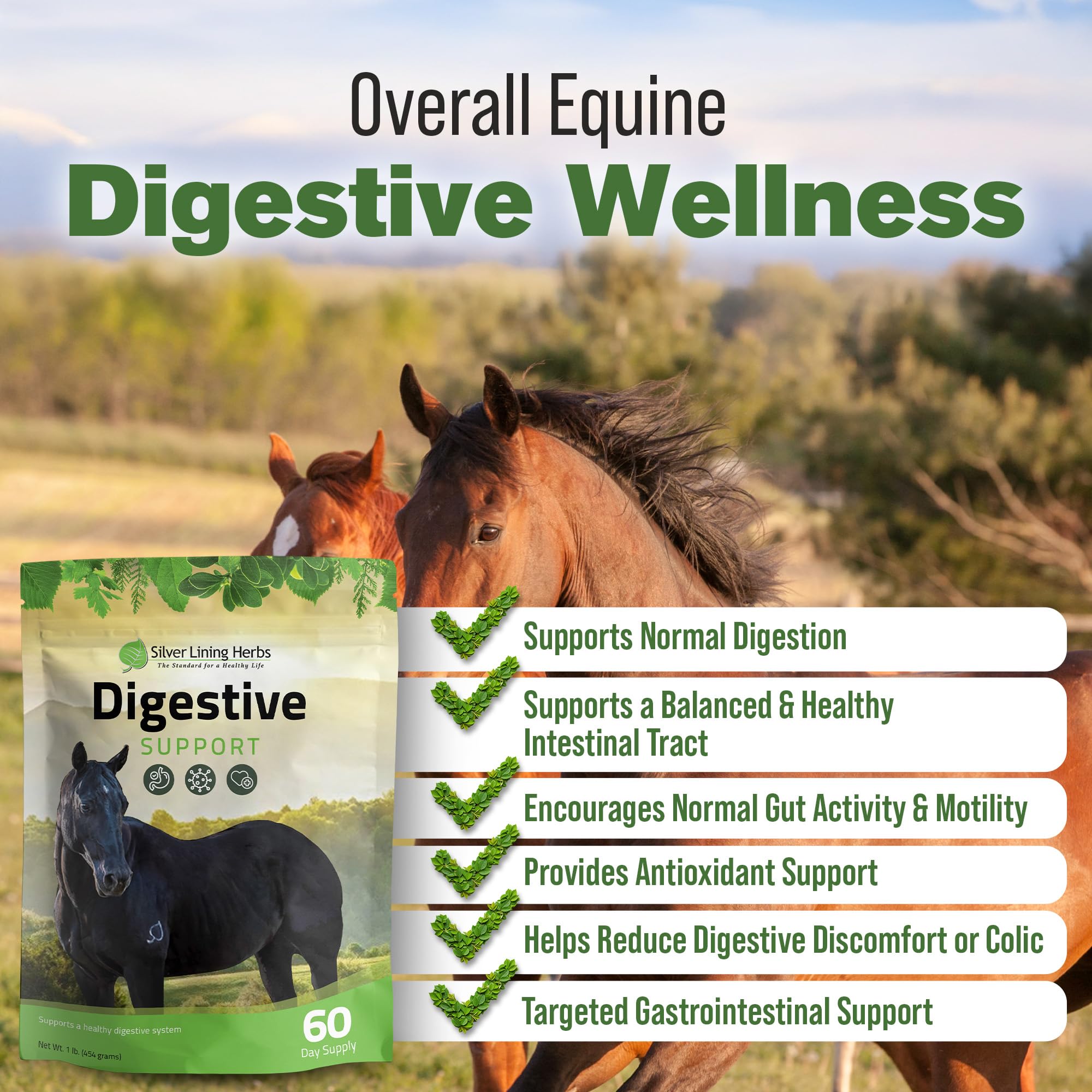 Poudre digestive Silver Lining Herbs avec doseur pour dosage précis