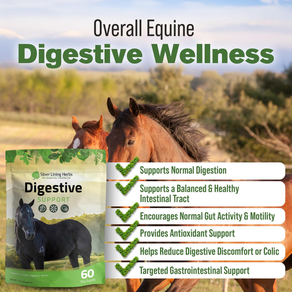 Poudre digestive Silver Lining Herbs avec doseur pour dosage précis