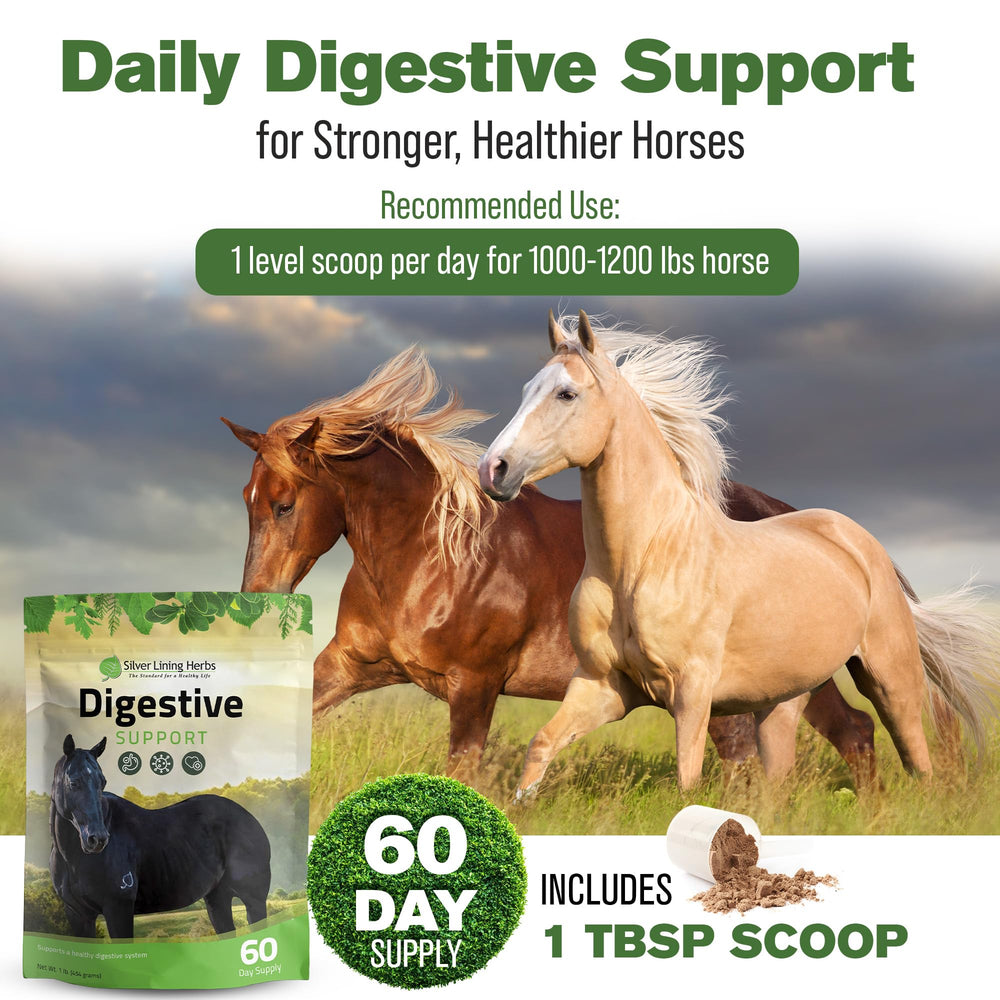 Ingrédients naturels du mélange digestif Silver Lining Herbs pour chevaux